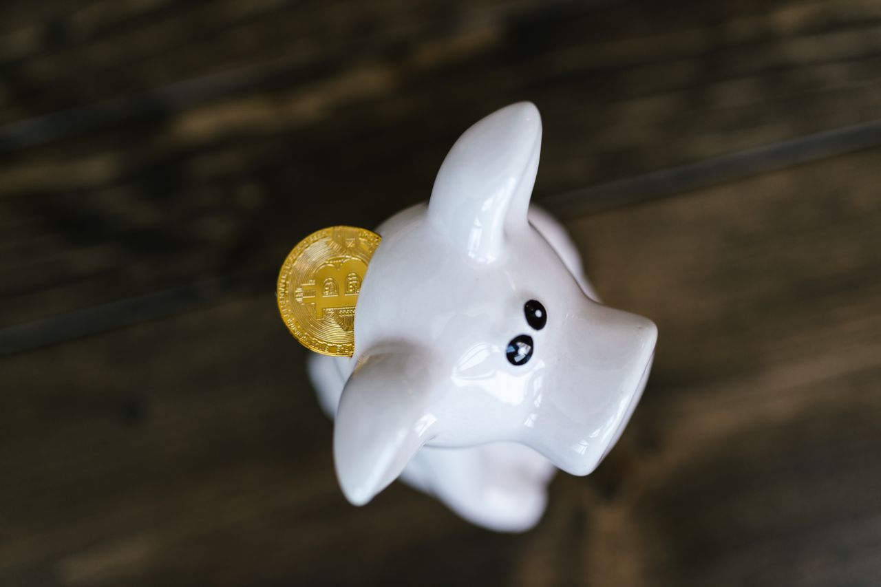 Close-up of a bitcoin coin inserted in a white piggy bank, symbolizing cryptocurrency savings.